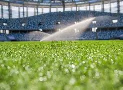 拜仁慕尼黑,后防线受挫,圣保利防守,世界杯比分,2026世界杯,比分直播,赛事回顾,足球比分