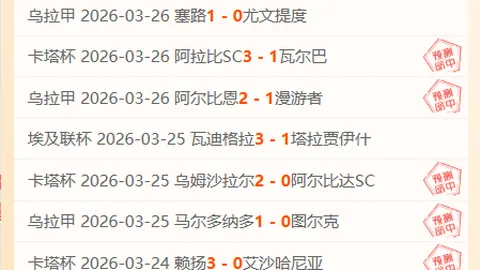 大乐透期号专家推荐：质合分析前区十码解析及美职男篮对决